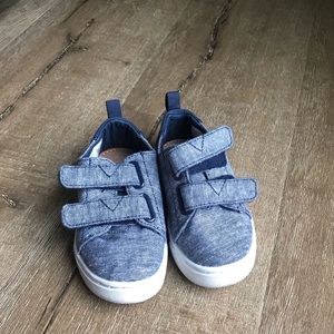 Denim Toms Shoes